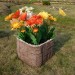 Цветник КАНЬОН купить в Буденновске